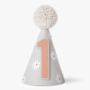 Custom Daisy Party Hat Flower Power Theme Childrens Birthday Babys 1st Cake Smash Outfit Accessory Floral Hippy Boho Decoration