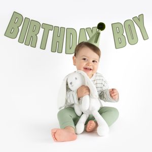 Baby Boy Wearing Party Hat Holding Bunny Rabbit Teddy Sat In Front Of Birthday Boy Banner Party Decoration
