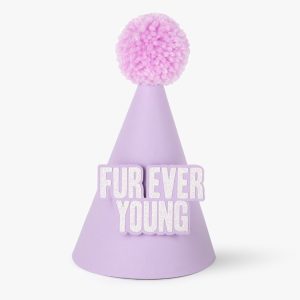 Puppy Party Hat for Dogs Birthday Pet Pawty