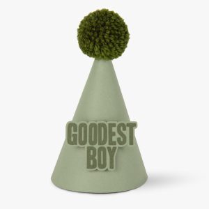 GOODEST BOY PARTY HAT