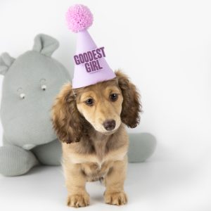 GOODEST GIRL PARTY HAT
