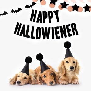 Happy Hallowiener Halloween Party Banner for Dachshund Puppy Sausage Dog Theme